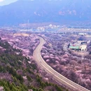 北京旅游 缩略图 1