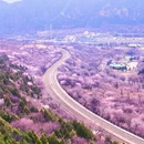北京旅游 缩略图 5