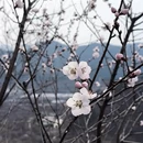 北京旅游 缩略图 9