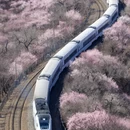 北京旅游 缩略图 2