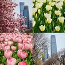 北京旅游 缩略图 1