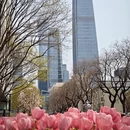 北京旅游 缩略图 5