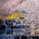北京旅游 缩略图 1