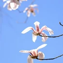 北京旅游 缩略图 4