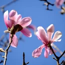 北京旅游 缩略图 6