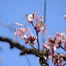 北京旅游 缩略图 10