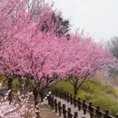 北京旅游 缩略图 1