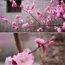 北京旅游 缩略图 5