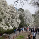 北京旅游 缩略图 14