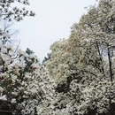 北京旅游 缩略图 7