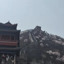 北京旅游 缩略图 15