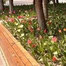 北京旅游 缩略图 1