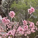 北京旅游 缩略图 8