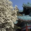 北京旅游 缩略图 2