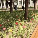 北京旅游 缩略图 3
