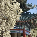 北京旅游 缩略图 3