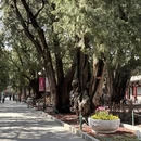 北京旅游 缩略图 9
