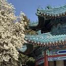 北京旅游 缩略图 12