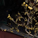 北京旅游 缩略图 3