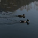 北京旅游 缩略图 10
