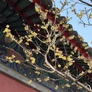 北京旅游 缩略图 5