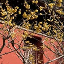北京旅游 缩略图 2