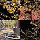 北京旅游 缩略图 1