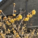 北京旅游 缩略图 4