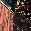 北京旅游 缩略图 7