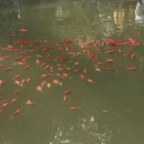 北京旅游 缩略图 16