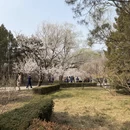 北京旅游 缩略图 3