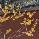 北京旅游 缩略图 14