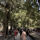 北京旅游 缩略图 17