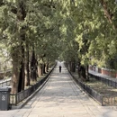 北京旅游 缩略图 4