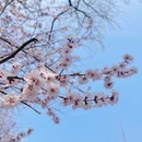 北京旅游 缩略图 2