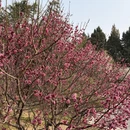 北京旅游 缩略图 10