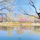 北京旅游 缩略图 1