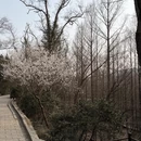 北京旅游 缩略图 9