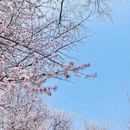 北京旅游 缩略图 7