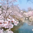 北京旅游 缩略图 4