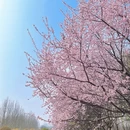 北京旅游 缩略图 8