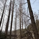 北京旅游 缩略图 8