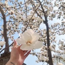 北京旅游 缩略图 5