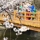 北京旅游 缩略图 2