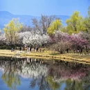 北京旅游 缩略图 1