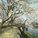 北京旅游 缩略图 6