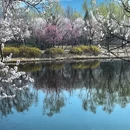 北京旅游 缩略图 3