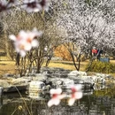 北京旅游 缩略图 8