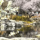 北京旅游 缩略图 9
