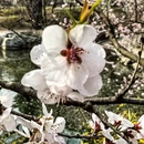 北京旅游 缩略图 10